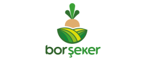 bor-şeker